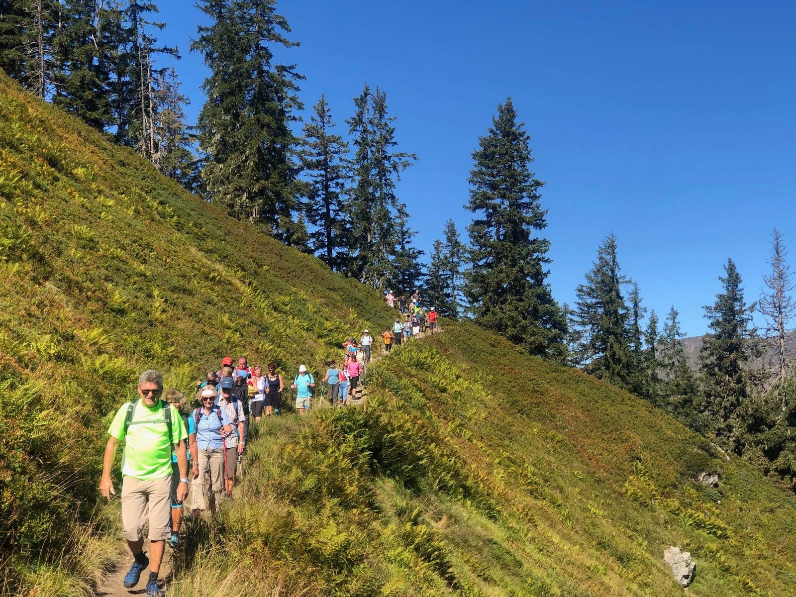 Gruppenwanderungen von Bergsepp – fit & fun am Berg